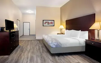 La Quinta by Wyndham McKinney