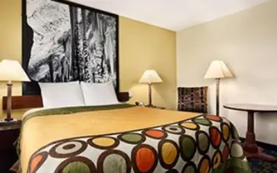 Super 8 by Wyndham Carlsbad