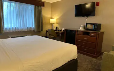 Medallion Inn and Suites