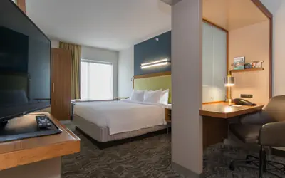 SpringHill Suites Columbia Downtown The Vista