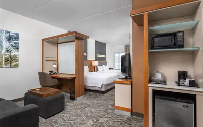 SpringHill Suites by Marriott Downtown Chattanooga/Cameron Harbor