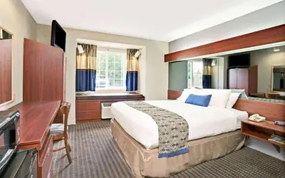 Microtel Inn & Suites by Wyndham Detroit Roseville
