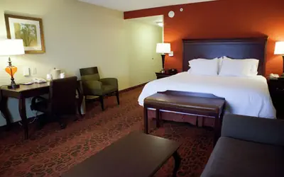 Hampton Inn Rochester-Webster