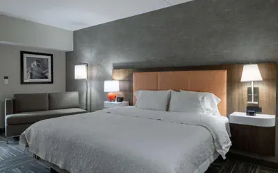 Hampton Inn & Suites Knoxville-Downtown