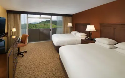 The Park Vista - A DoubleTree by Hilton Hotel - Gatlinburg
