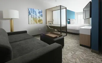 SpringHill Suites by Marriott Texas City