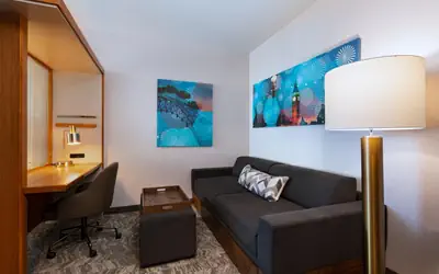 Springhill Suites by Marriott Anaheim Maingate