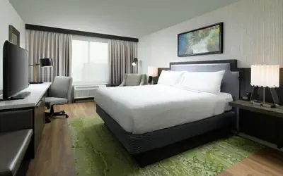 Hilton Garden Inn Memphis Downtown Beale Street