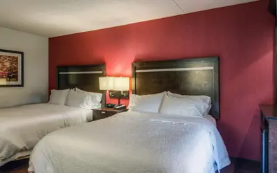 Hampton Inn & Suites Detroit/Airport Romulus