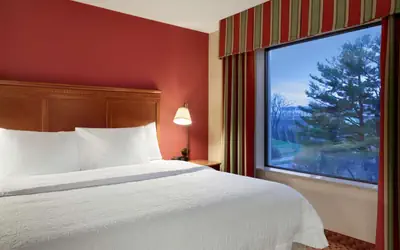 Hampton Inn & Suites East Hartford