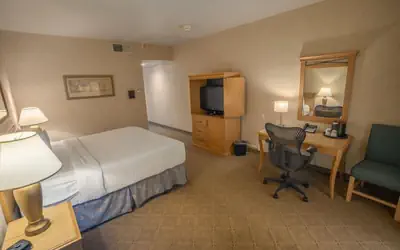 Piccadilly Inn Airport