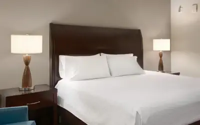 Hilton Garden Inn Minneapolis Downtown