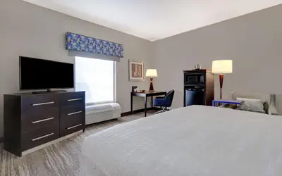 Hampton Inn & Suites Tampa Northwest/Oldsmar