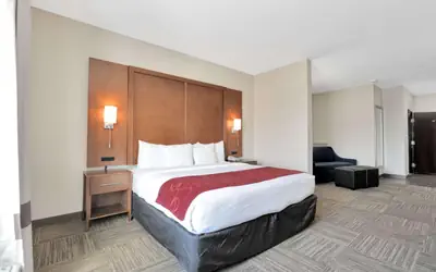 Comfort Suites University