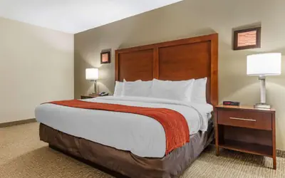 Comfort Inn & Suites Clemson - University Area