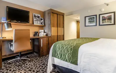 Comfort Inn Raleigh Midtown