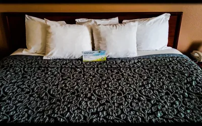 Days Inn by Wyndham Collinsville St Louis