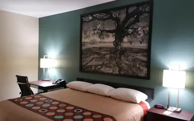 Super 8 by Wyndham Port Arthur/Nederland Area