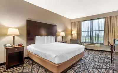 Best Western Plus Hobby Airport Inn & Suites