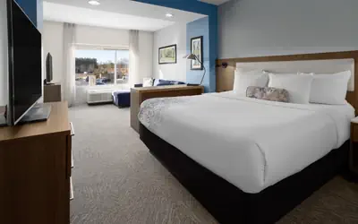 La Quinta Inn & Suites by Wyndham Locust Grove