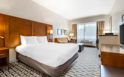 Comfort Inn Summerville - Charleston