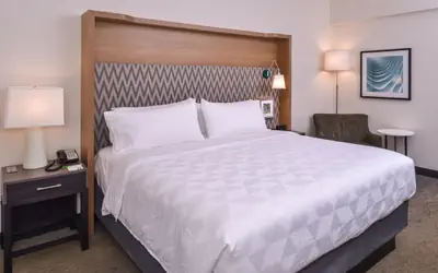 Holiday Inn Detroit Northwest - Livonia by IHG