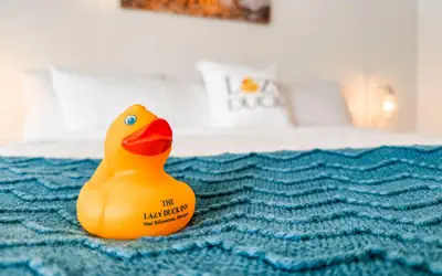 Lazy Duck Inn