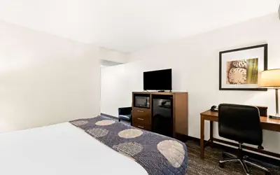 Best Western Yacht Harbor Hotel