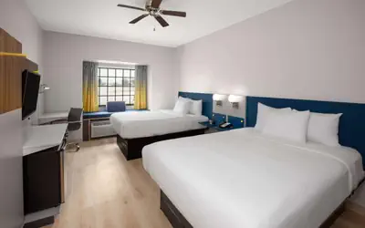 Microtel Inn & Suites by Wyndham Buda Austin South