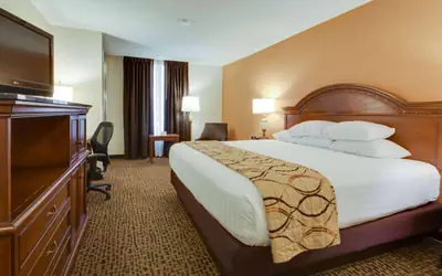 Wingate by Wyndham St Louis-Fenton Route 66