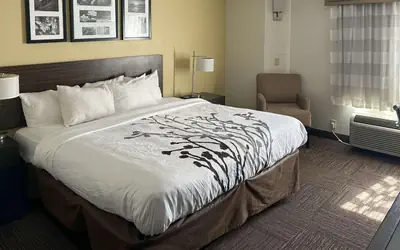 Sleep Inn Wilson near I-95