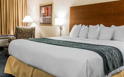 Quality Inn Auburn Hills - Detroit North