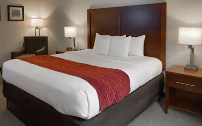 Comfort Inn & Suites Rogersville