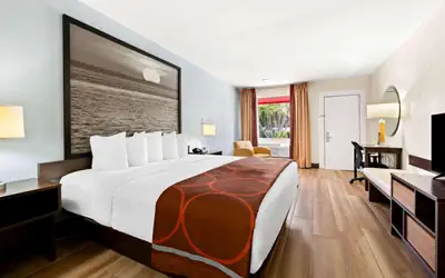 Super 8 by Wyndham Florida City/Homestead/Everglades