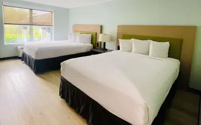 Wingate by Wyndham Matthews - Charlotte