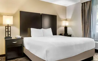 Best Western Okemos/East Lansing Hotel & Suites