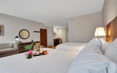 Hampton Inn & Suites by Hilton Hemet Menifee Murrieta