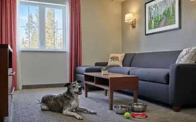 Residence Inn by Marriott Breckenridge