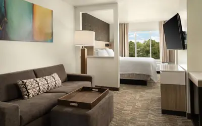 SpringHill Suites Dallas Arlington North