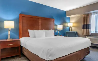 Comfort Inn University