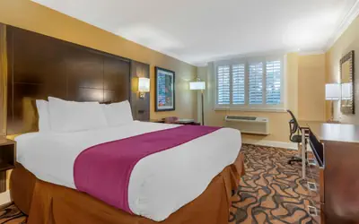 Best Western Plus Airport Plaza