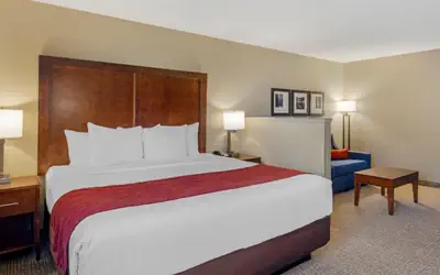 Comfort Inn & Suites Rocklin - Roseville