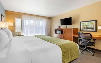 Best Western Plus Beach View Lodge Carlsbad