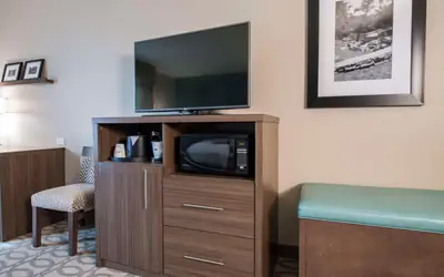 Hampton Inn Greenville/I-385 Haywood Mall, SC