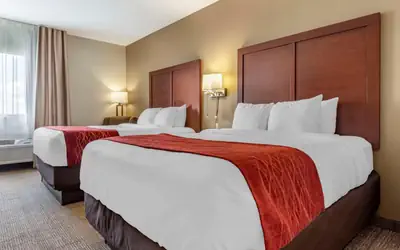 Comfort Inn & Suites Streetsboro - Kent