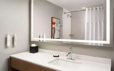 Embassy Suites by Hilton at Hot Springs Convention Center