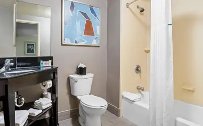 Comfort Inn Cadillac