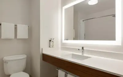 Holiday Inn Express- West Sacramento by IHG