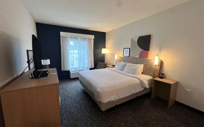 Spark by Hilton Guilford