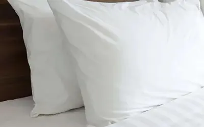 Sonesta ES Suites Raleigh Cary